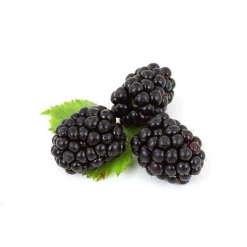 Picture of Blackberries (10x150g)