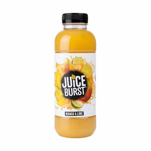Picture of Mango Juice (12x500ml)