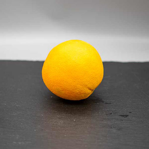 Picture of Large Orange (55)