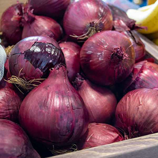 Picture of Red Onions (20x1kg)