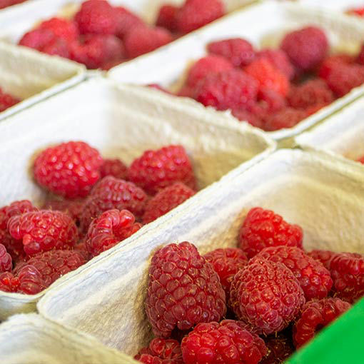 Picture of Raspberries (10x150g)