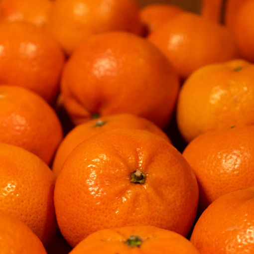 Picture of Easy Peeler Orange (84)