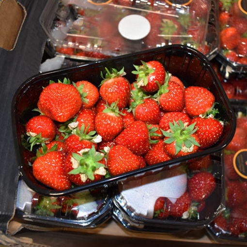 Picture of Pilgrim Fresh Produce Strawberries (10x400g)