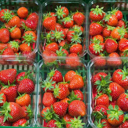 Picture of Pilgrim Fresh Produce Strawberries (20x400g)