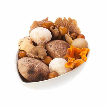 Picture of Greens Woodland Mushroom Mix (10x600g)