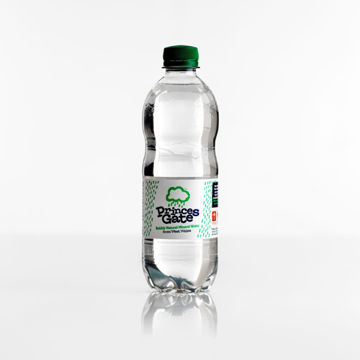 Picture of Princes Gate Sparkling Spring Water (24x500ml)