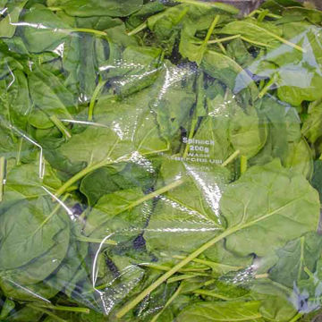 Picture of Pilgrim Fresh Produce Unwashed Baby Spinach (10x200g)