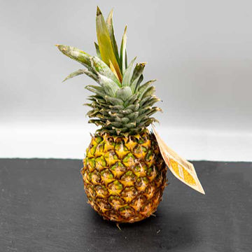 Picture of Pilgrim Fresh Produce Large Pineapple (8)