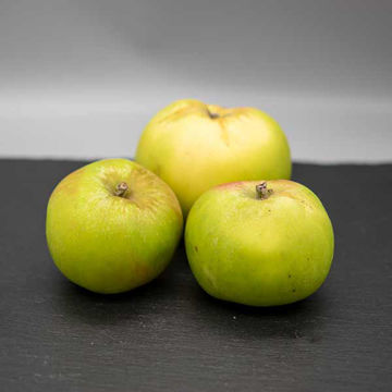 Picture of Pilgrim Fresh Produce Bramley Apples (12.5kg)