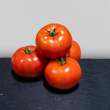 Picture of Pilgrim Fresh Produce Beef Tomatoes (Avg 1kg )