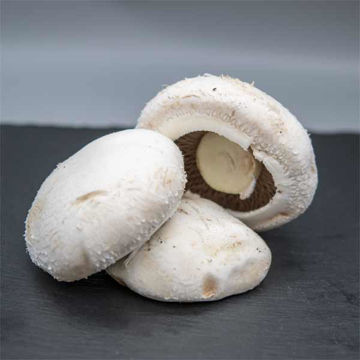 Picture of Pilgrim Fresh Produce Flat Mushrooms (1.5kg)