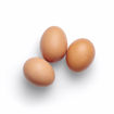 Picture of Sunrise Poultry Fresh Medium Eggs (5x12)