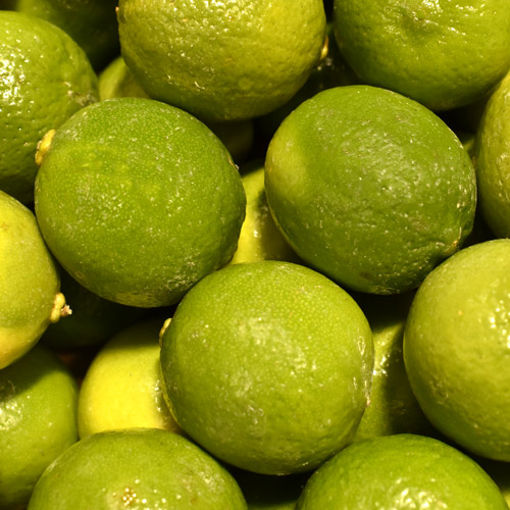 Picture of Pilgrim Fresh Produce Limes (63)