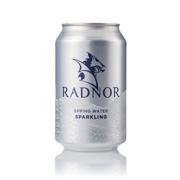 Picture of Radnor Hills Sparkling Spring Water (24x330ml)