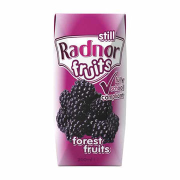 Picture of Radnor Fruits Still Forest Fruits (24x200ml)