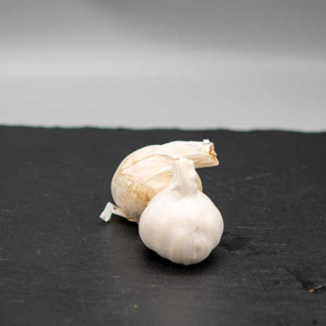 Picture of Pilgrim Fresh Produce Garlic Bulbs (4kg)