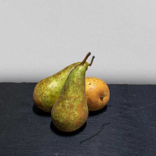 Picture of Pilgrim Fresh Produce Pears (12.5kg)