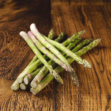 Picture of Pilgrim Fresh Produce Asparagus (10)