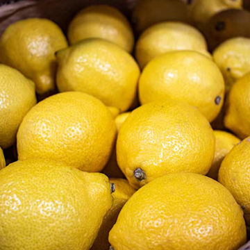 Picture of Pilgrim Fresh Produce Lemons (110)