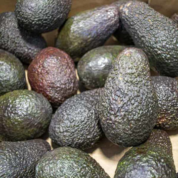 Picture of Pilgrim Fresh Produce Avocadoes (RTE) (18)