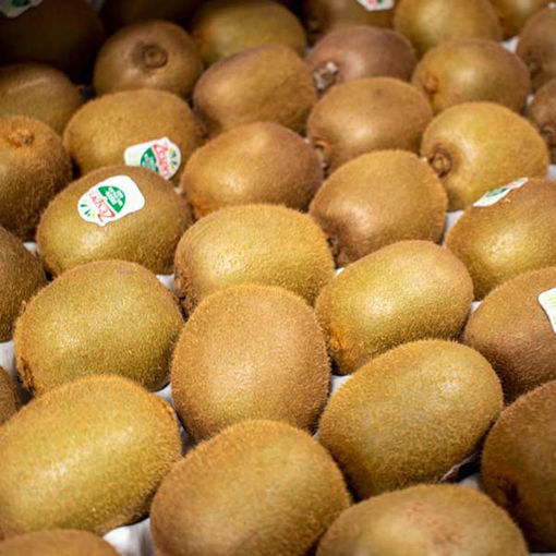 Picture of Pilgrim Fresh Produce Kiwi Fruit (150)