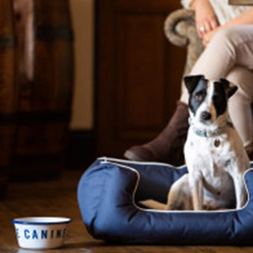 Picture of The Canine Menu Enamel Dog Bowl (5x270g)