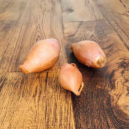 Picture of Pilgrim Fresh Produce Banana Shallots (4kg)