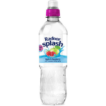 Picture of Radnor Splash Still Spring Apple & Raspberry (24x500ml)