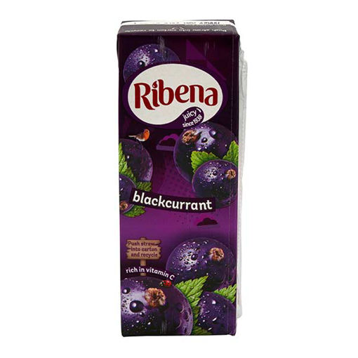 Picture of Ribena Blackcurrant (24x250ml)