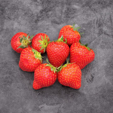 Picture of Pilgrim Fresh Produce Strawberries (16x250g)