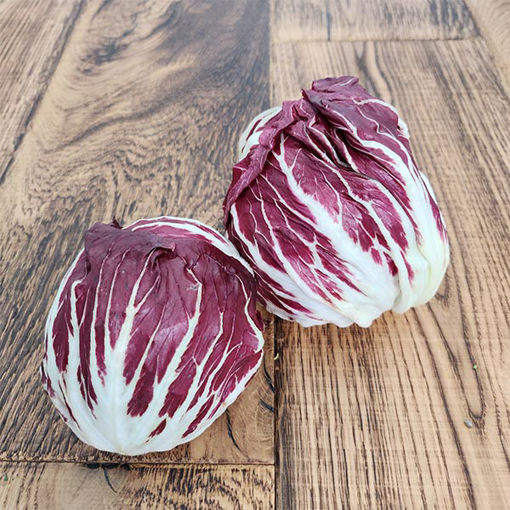 Picture of Pilgrim Fresh Produce Radicchio Lettuce (12)