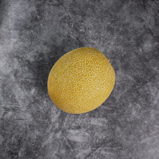 Picture of Pilgrim Fresh Produce Galia Melon (6)