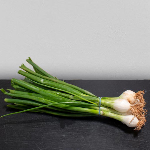 Picture of Pilgrim Fresh Produce Spring Onions (84)