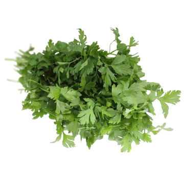 Picture of Nurtured in Norfolk Flat Leaf Parsley (200g)