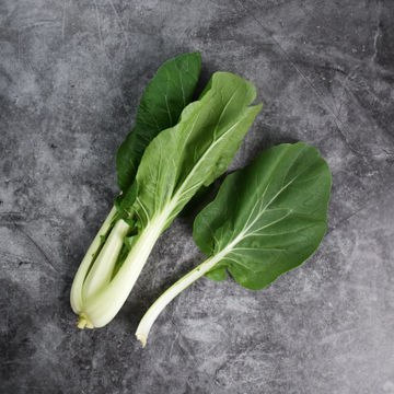 Picture of Pilgrim Fresh Produce Pak-Choi (10x2)