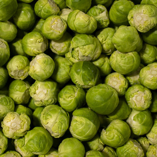 Picture of Pilgrim Fresh Produce Trimmed Brussel Sprouts (2kg)