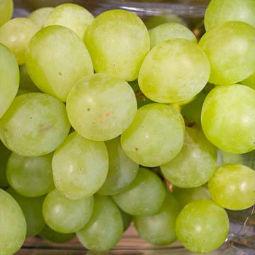 Picture of Pilgrim Fresh Produce Green Grapes (10x500g)