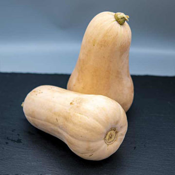 Picture of Pilgrim Fresh Produce Butternut Squash (10kg)