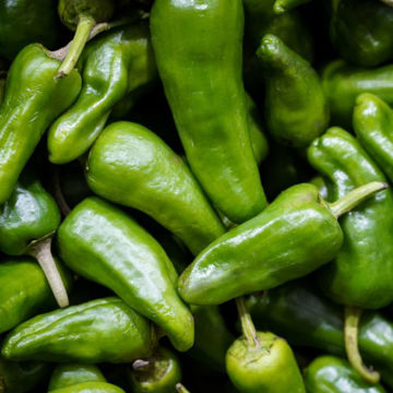 Picture of Pilgrim Fresh Produce Padron Peppers (2kg)