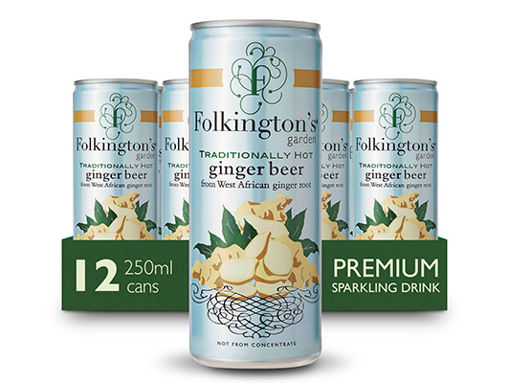 Picture of Folkington's Traditionally Hot Ginger Beer (12x250ml)