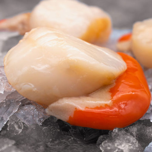 Picture of Moorcroft Seafood Fresh King Scallops (1kg)