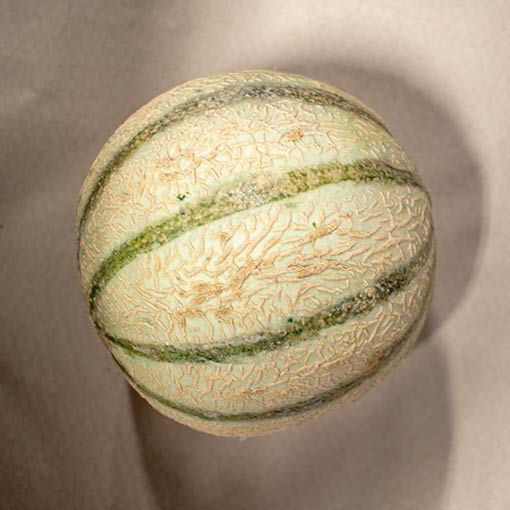 Picture of Pilgrim Fresh Produce Cantaloupe Melon (6)