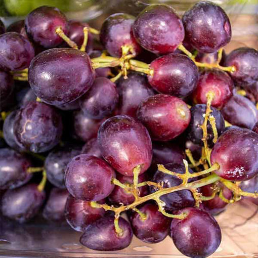 Picture of Pilgrim Fresh Produce Red Grapes (10x500g)