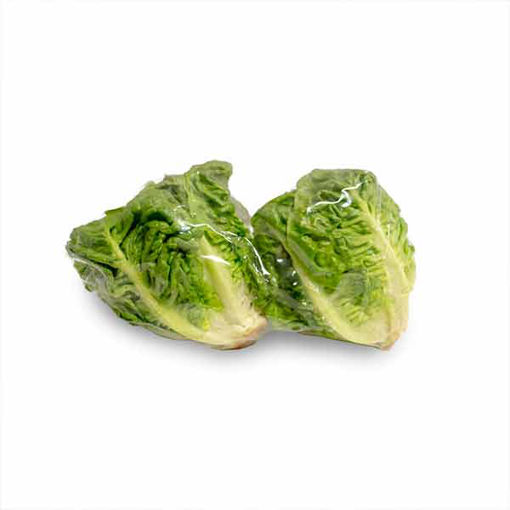 Picture of Pilgrim Fresh Produce Little Gem Lettuce (10x2pack)