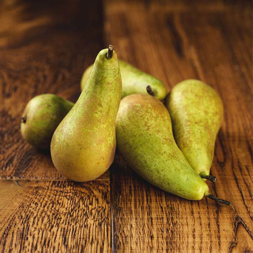 Picture of Pilgrim Fresh Produce Conference Pears (13kg)