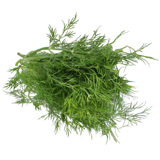 Picture of Nurtured in Norfolk Dill (100g)