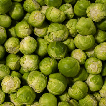 Picture of Pilgrim Fresh Produce Trimmed Brussel Sprouts (2kg)