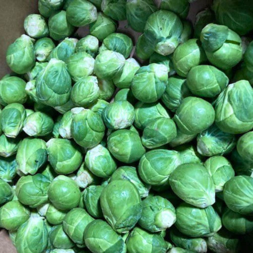 Picture of Pilgrim Fresh Produce Untrimmed Brussel Sprouts (2kg)