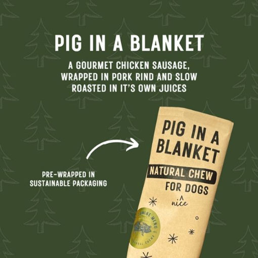 Picture of The Canine Menu Pig in a Blanket (25x40g)