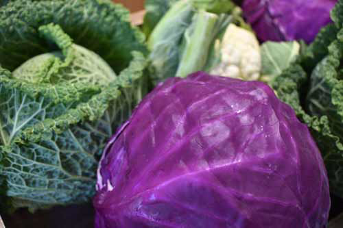 Lincolnshire Cabbages